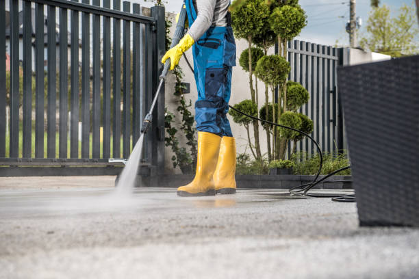 Best Sidewalk and Walkway Cleaning  in Hampton Manor, NY