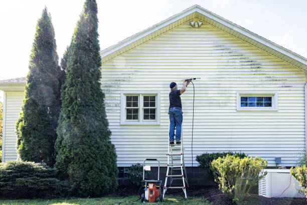 Best Spring Cleaning  in Hampton Manor, NY
